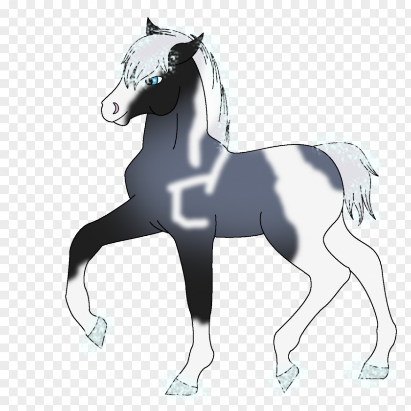 Silver Guardian Pony Mustang Stallion Foal Colt PNG