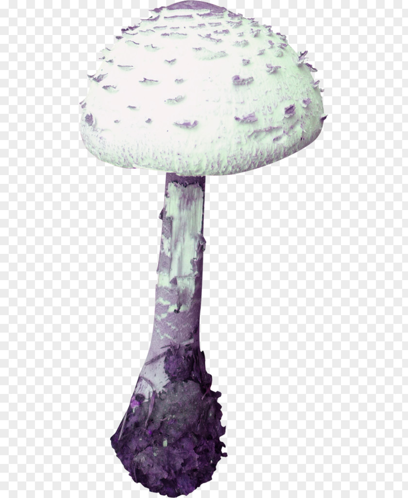 White Poisonous Mushroom Poisoning PNG