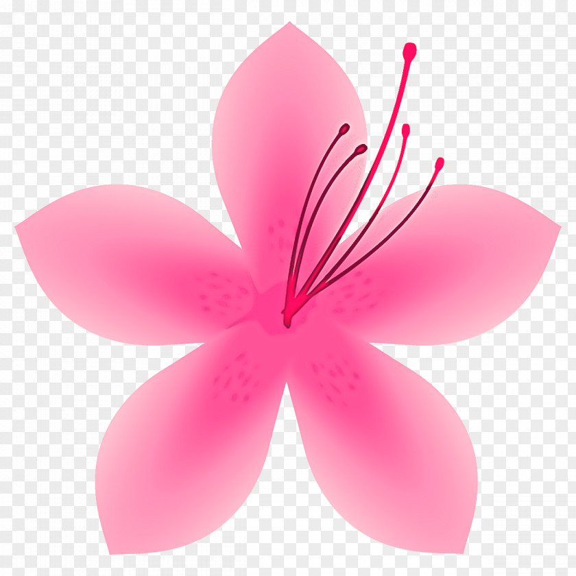 Petal Pink Flower Plant Hibiscus PNG