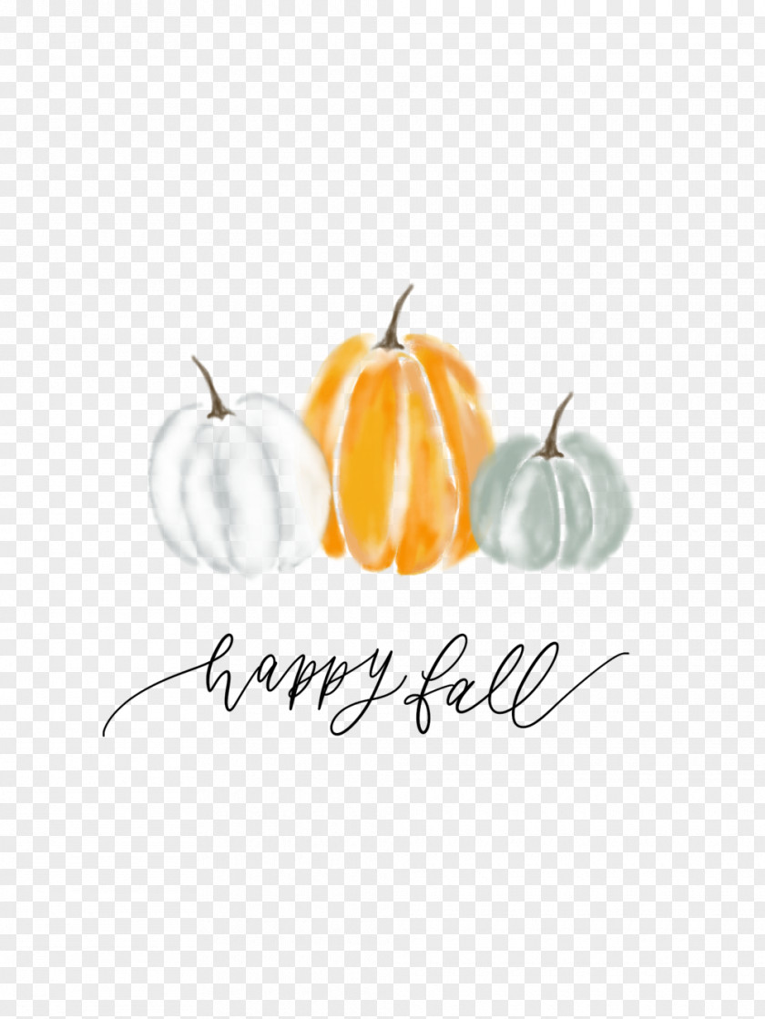 Pumpkin Isolated Watercolor Image Logo Vector Graphics PNG