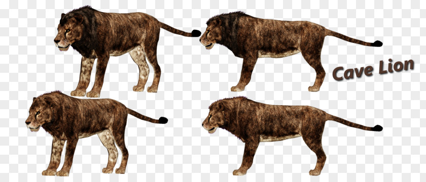 Stone Age Panthera Leo Spelaea American Lion Zoo Tycoon 2 Felidae Cave PNG