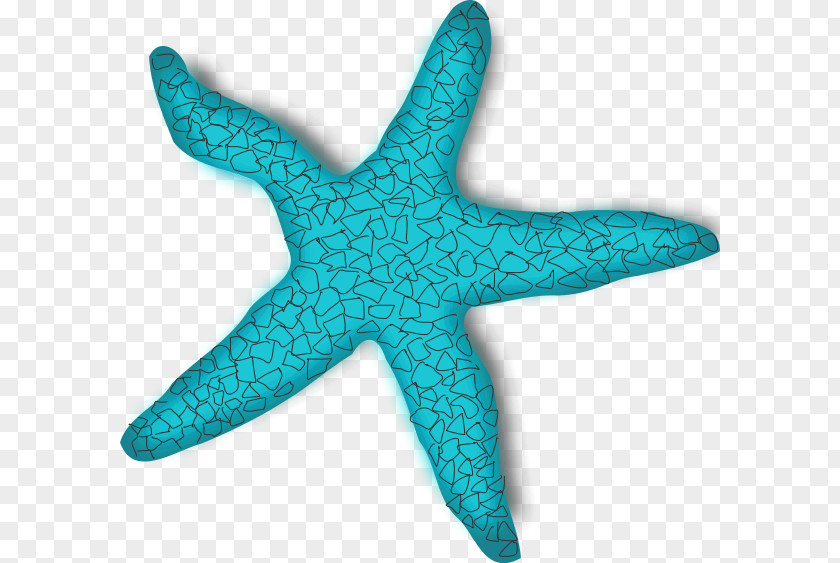 Teal Fish Cliparts Starfish Clip Art PNG