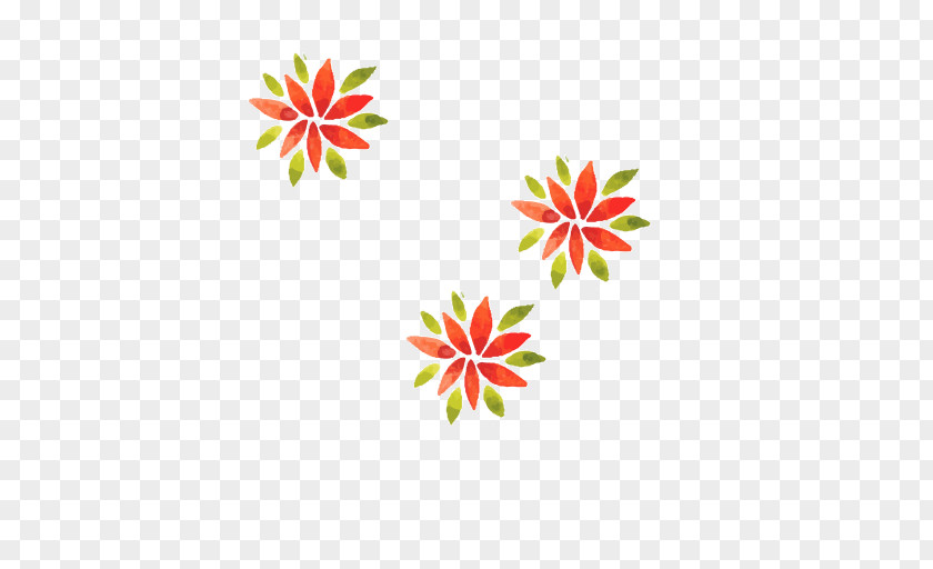 Watercolor Christmas Plant Petal Textile Area Pattern PNG