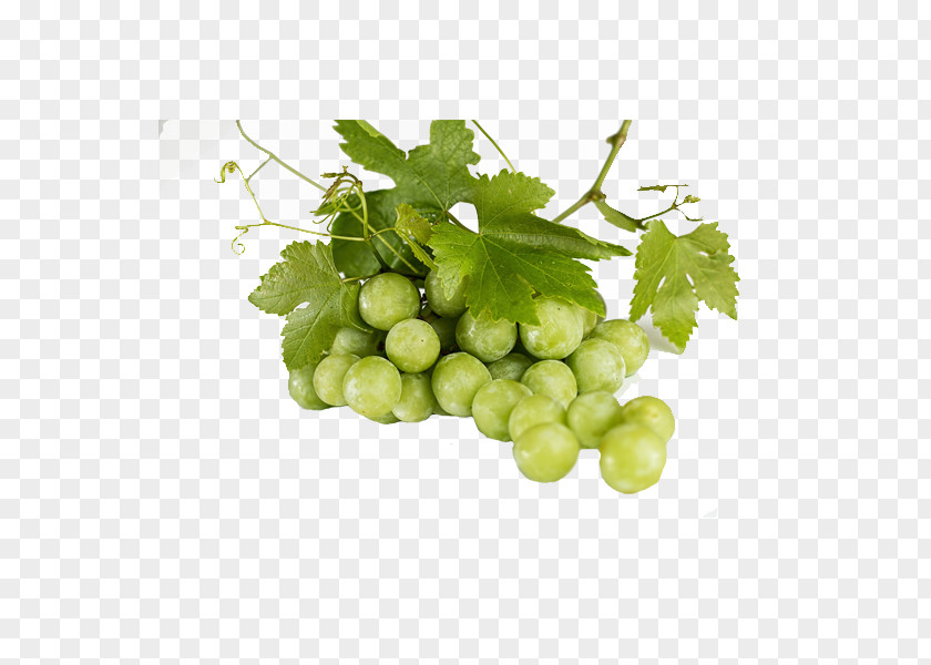 Bunch Of Green Grapes Common Grape Vine Tea Fruit PNG