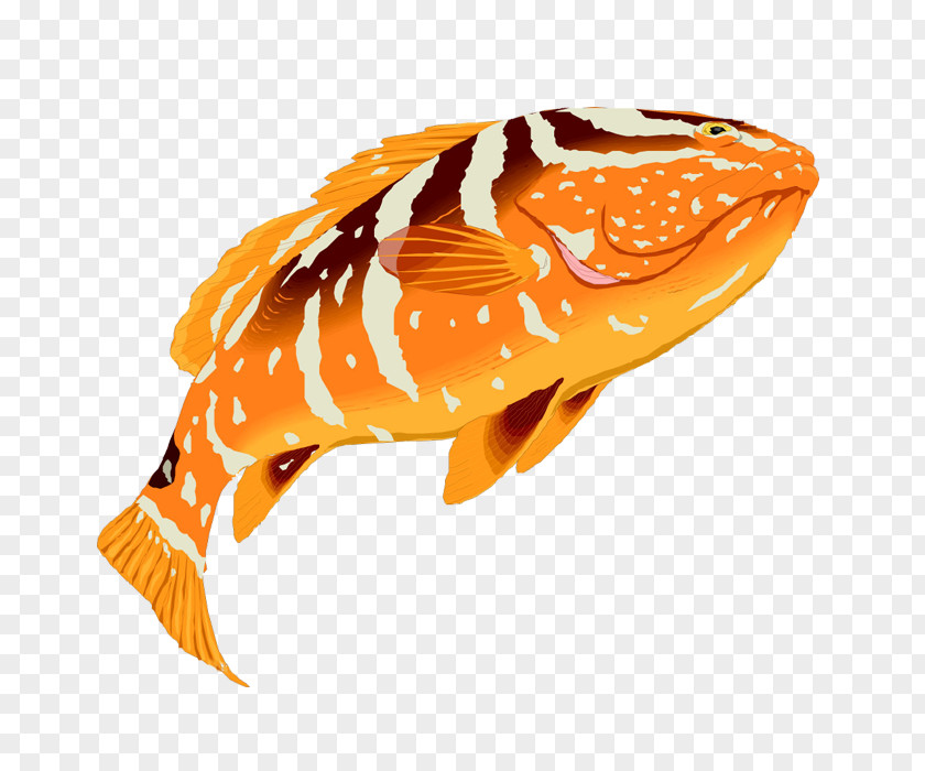 Colored Tropical Fish Grouper Clip Art PNG