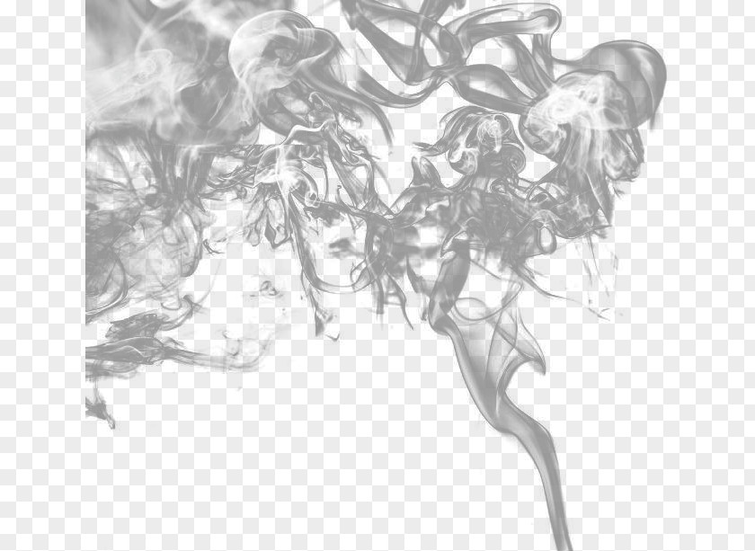 Computer Mouse Black And White Colored Smoke PNG mouse and white smoke, smoke illustration clipart PNG