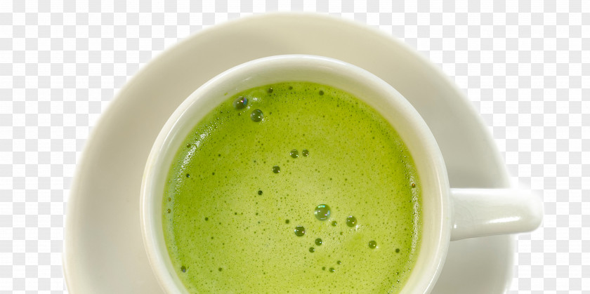 Matcha Green Tea Sencha Shincha PNG