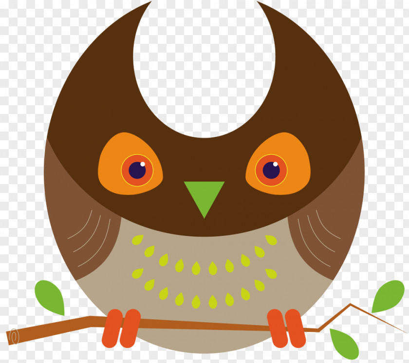 Owl Clip Art Illustration Product Beak PNG