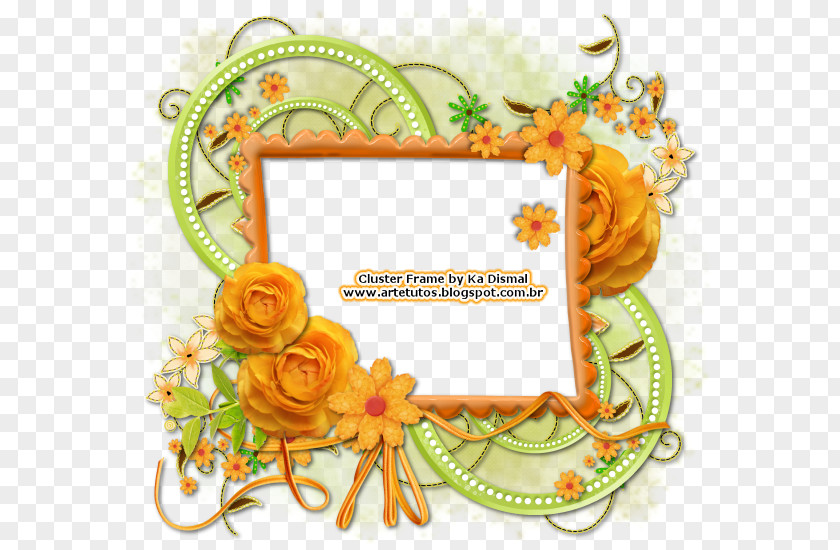 Yes Or No Picture Frames Molding Clip Art PNG