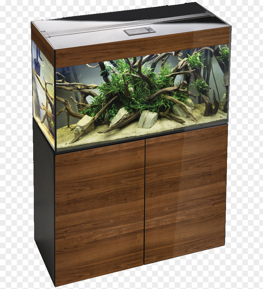 Aquariums Fishkeeping Glass Ciano Aqua PNG