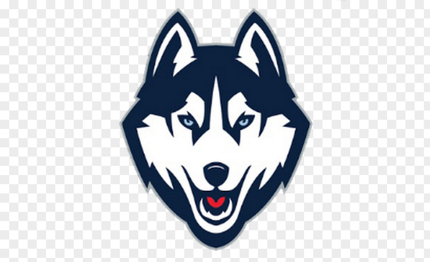 Basketball University Of Connecticut Huskies Men's Women's Ice Hockey NCAA Division I Tournament PNG