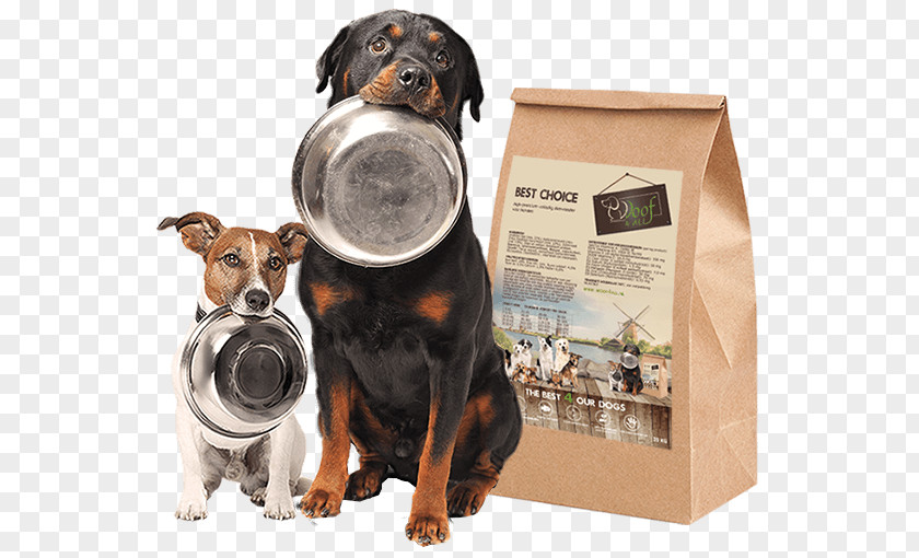Best Choice Dog Food Cat Pet PNG
