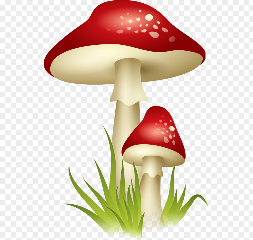 Mushroom Edible Clip Art PNG