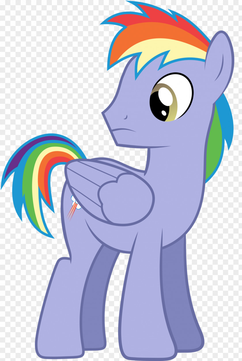 My Little Pony Rainbow Dash Pinkie Pie Rarity Twilight Sparkle PNG