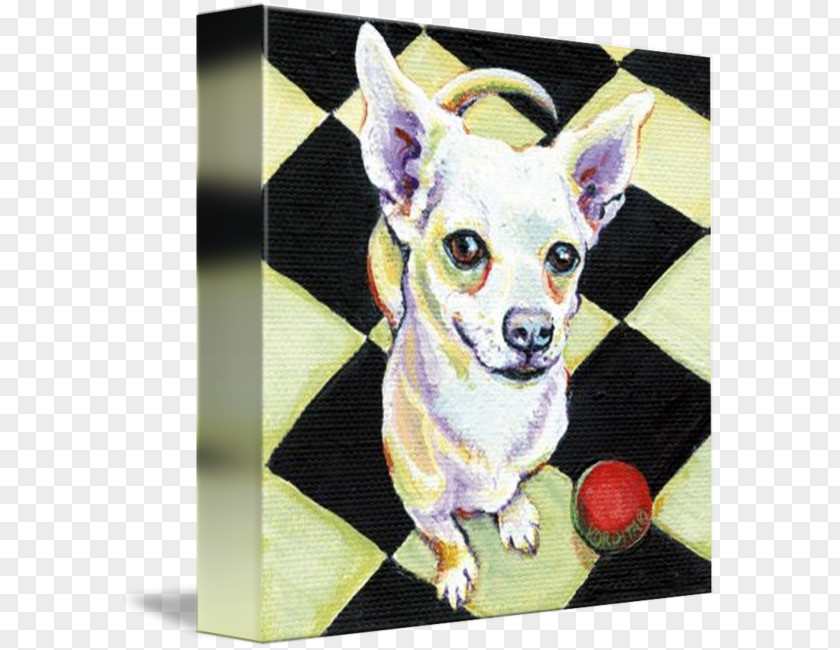 Painting Chihuahua Dog Breed Toy PNG