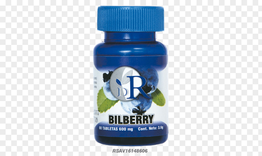 Bilberry Food Service PNG
