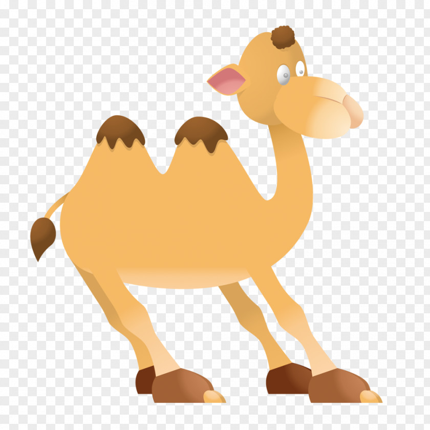 Cartoon Camel Dromedary Llama Bactrian Animal Silhouettes Clip Art PNG