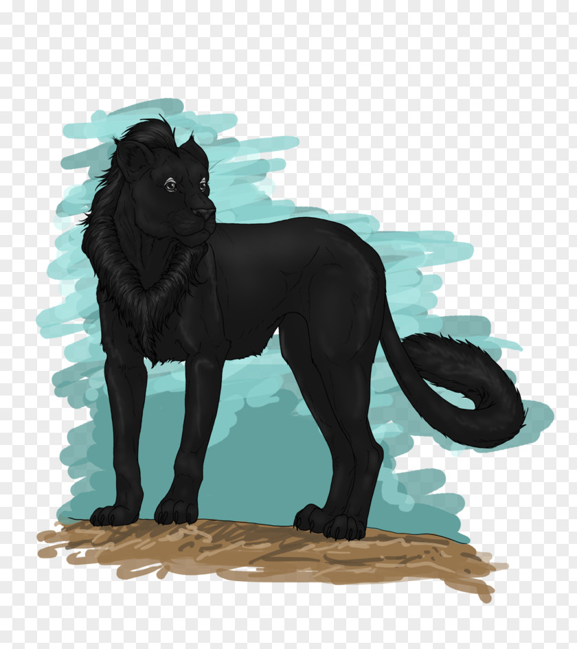 Cat Drawing DeviantArt Arabian Horse PNG