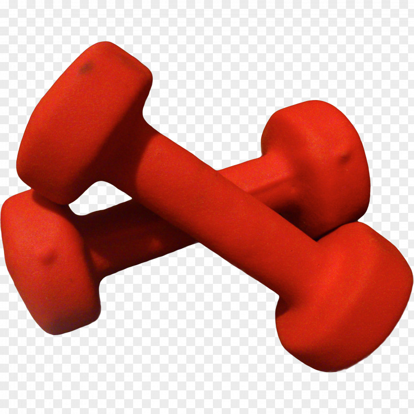 Dumbbell Weight Training Hand Physical Strength Exercise PNG