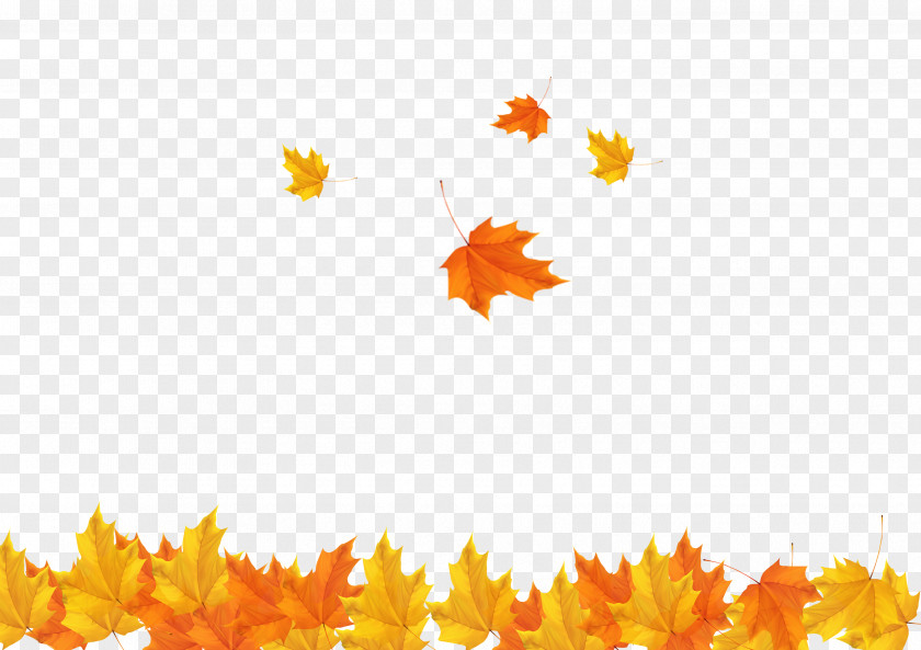 Fall Maple Leaves Background Image Autumn Leaf Clip Art PNG