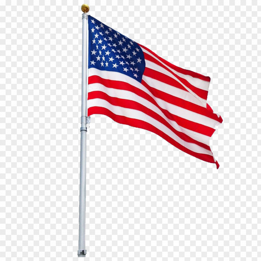 Flag United States Of America The Flagpole Jolly Roger PNG