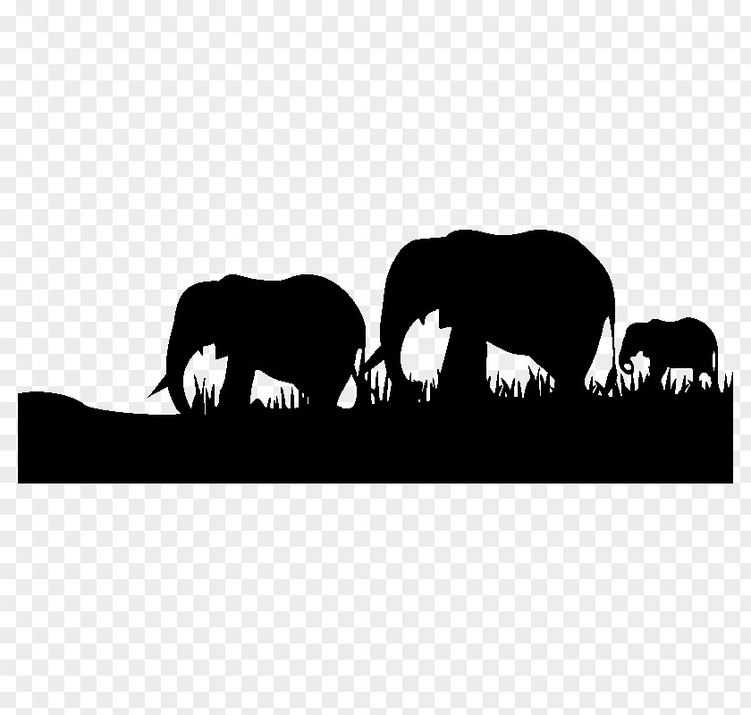 Horse Wall Decal Indian Elephant Elephantidae Africa PNG