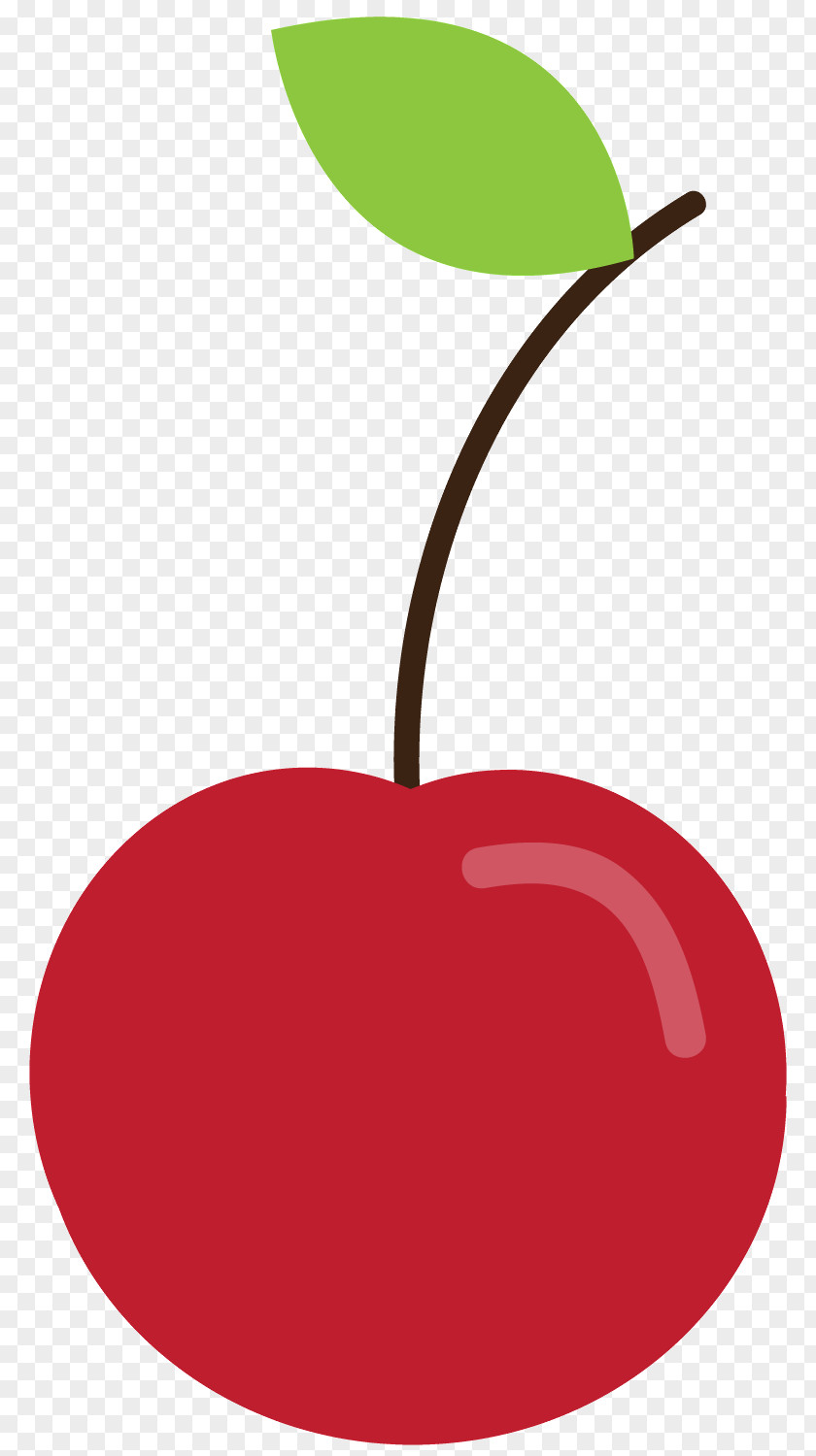 Maritza Cherries Clip Art Fruit Drawing PNG