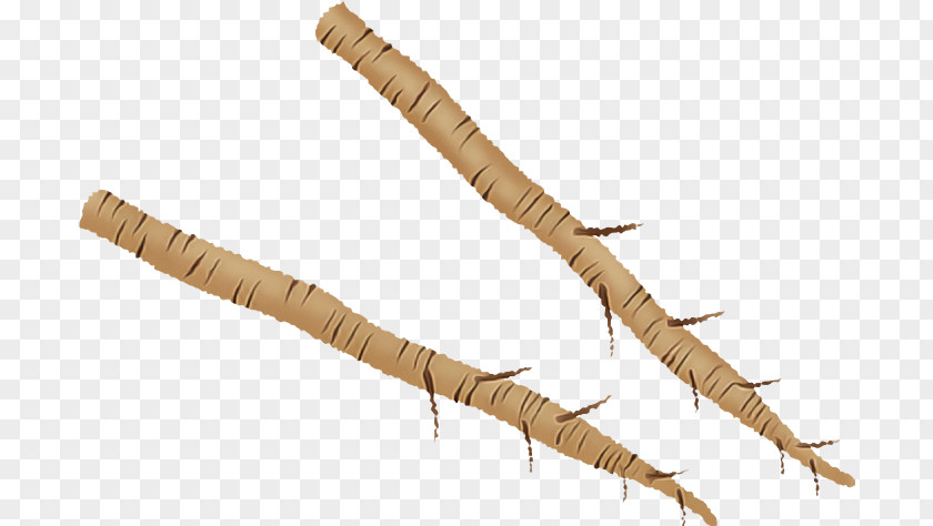 Worm PNG