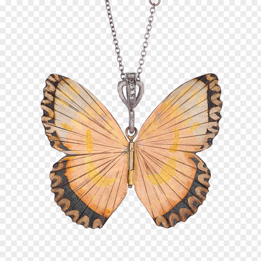 Butterfly Monarch Birdwing Necklace Ornithoptera Goliath PNG