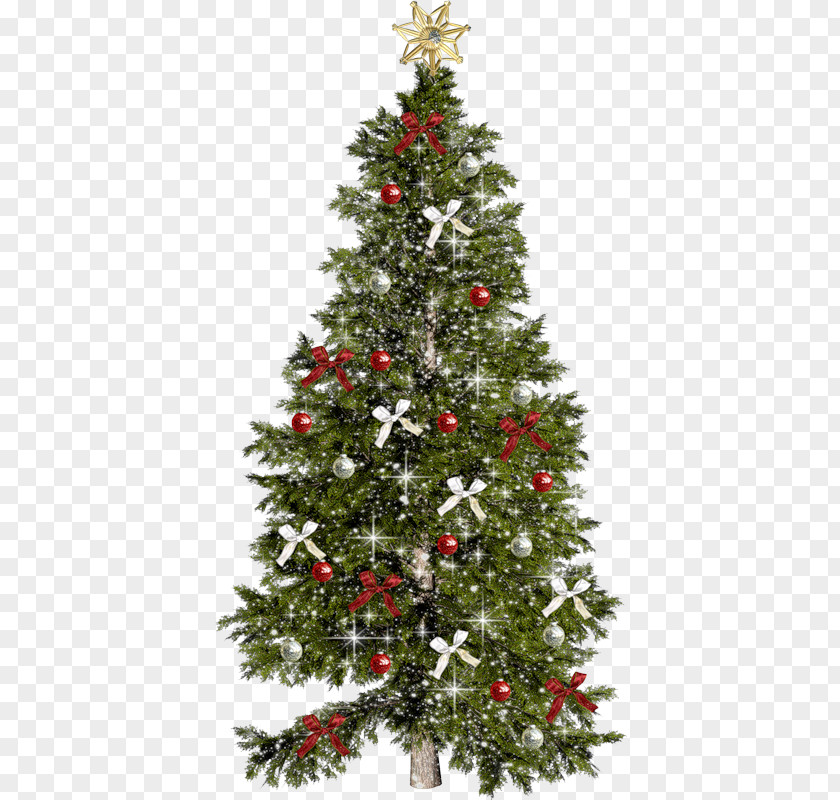 Christmas Tree Day GIF Clip Art PNG