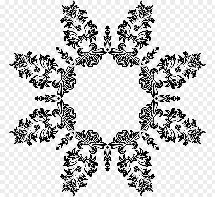 Fancy Line Photography Ornament Black And White PNG