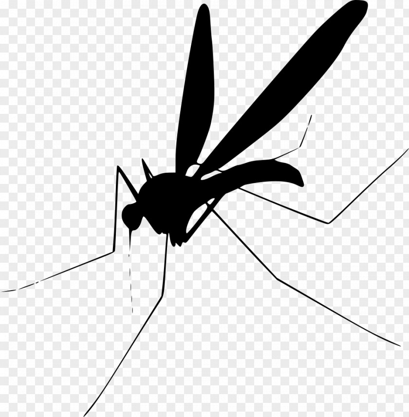 Fly Mosquito Control Clip Art PNG