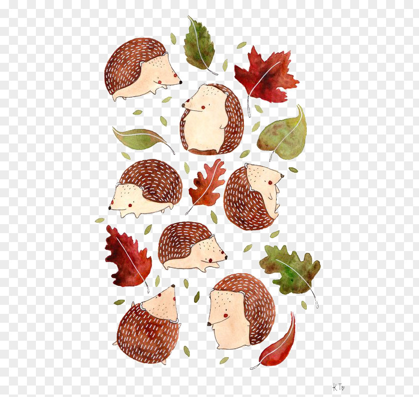 Hedgehog Cartoon Illustration PNG