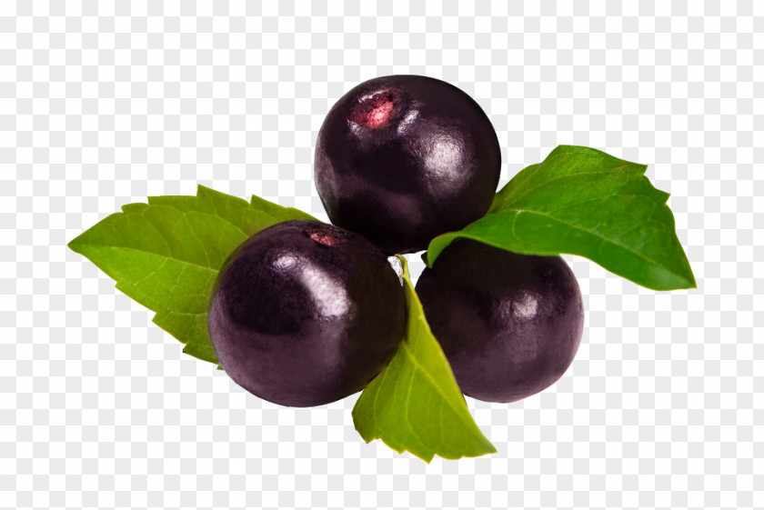 Juice Açaí Na Tigela Palm Berry Fruit PNG