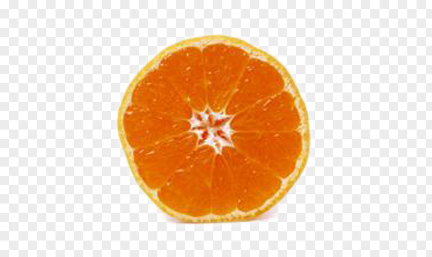Brother Orange Circle Tangerine Blood Tangelo Clementine PNG