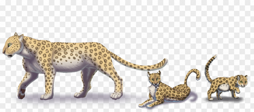 Cheetah Felidae Lion Tiger Bear PNG