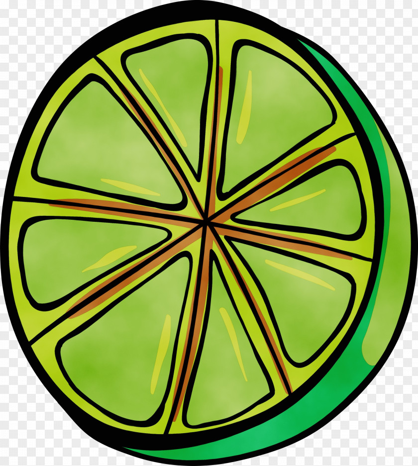 Circle Leaf Green Area Symmetry PNG