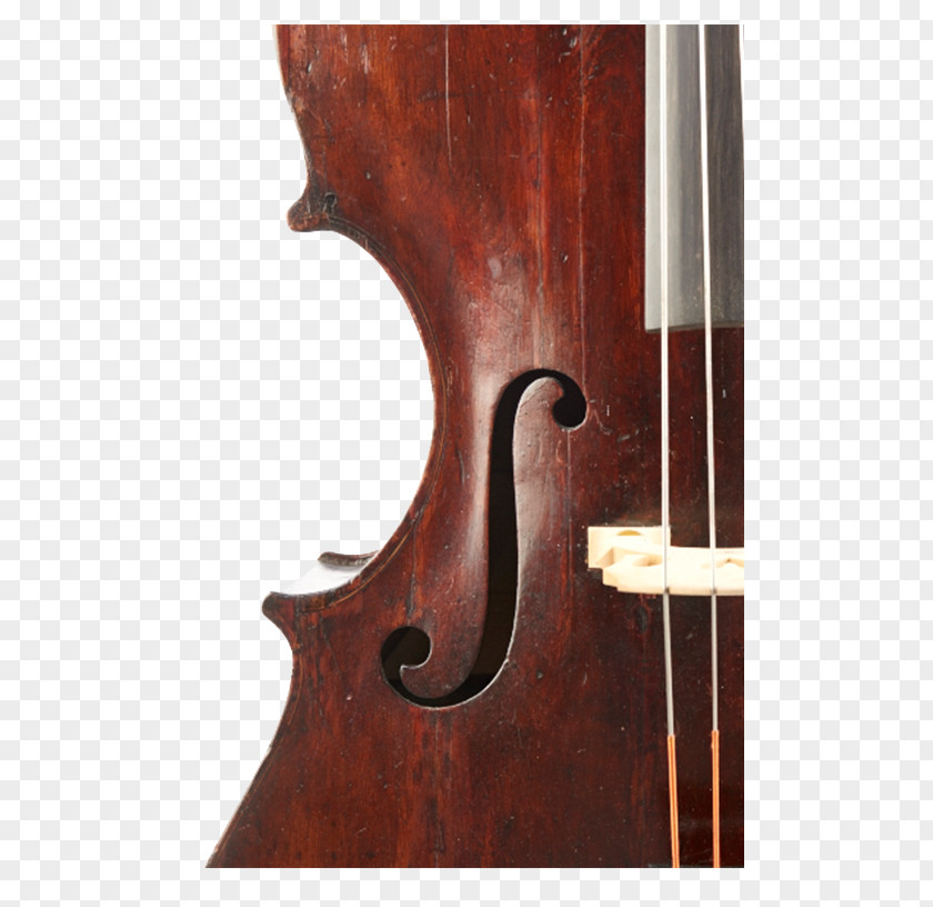 Double Bass Violin Violone Viola Octobass PNG
