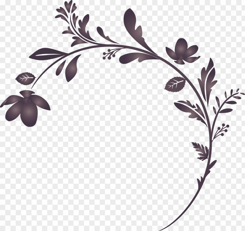 Flower Frame Decoration Floral PNG