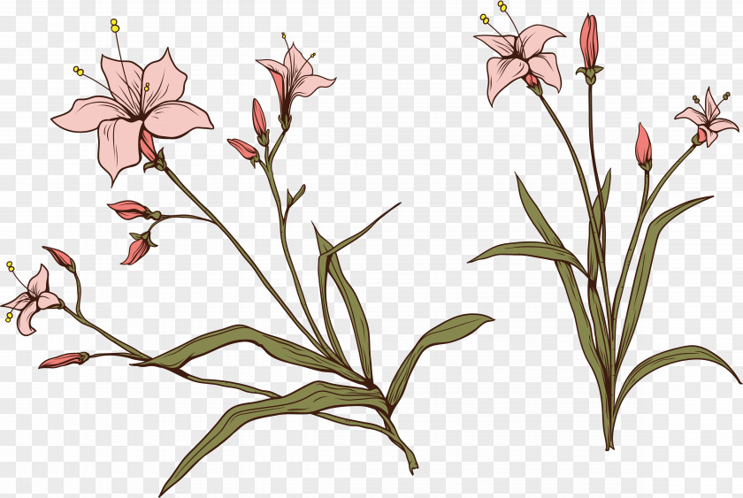 Flower Plant Stem Clip Art PNG