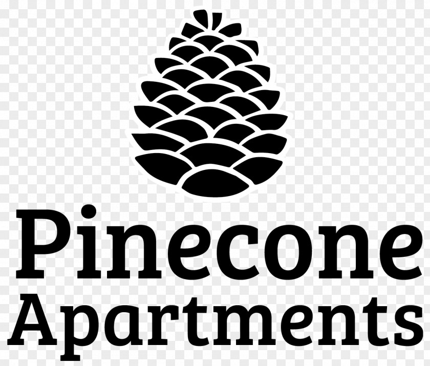 Jane Pen Leaves Conifer Cone Logo Tree Pine PNG