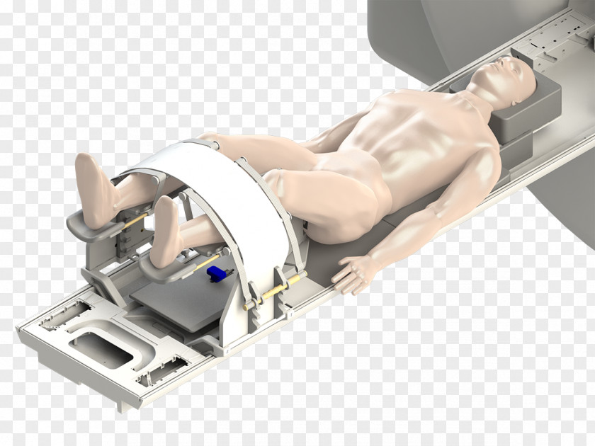 Prostate Imaging Magnetic Resonance Biopsy Anatomy PNG