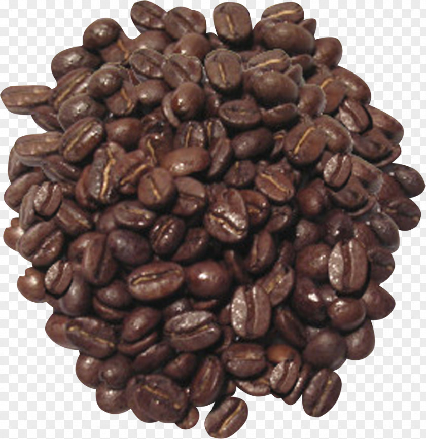 Quality Coffee Beans Bean Tea Cafe Wiener Melange PNG