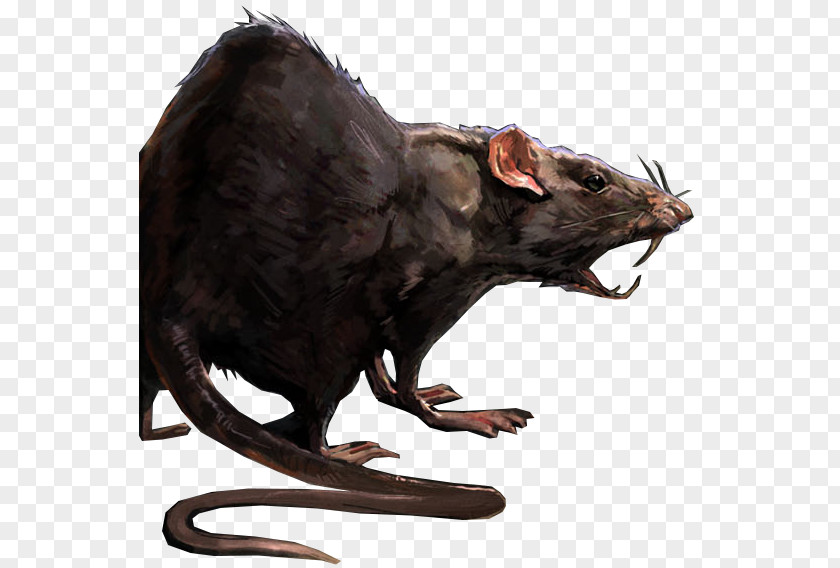 Rat Dishonored 2 Laboratory Mouse PNG