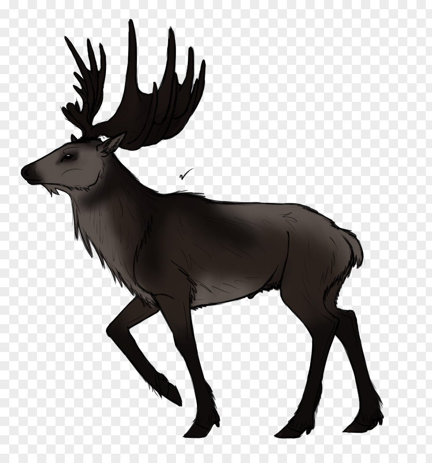 Reindeer Irish Elk Horn Drawing PNG