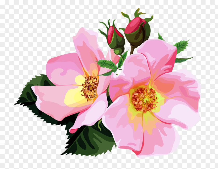 Rose Flower Bouquet Clip Art PNG