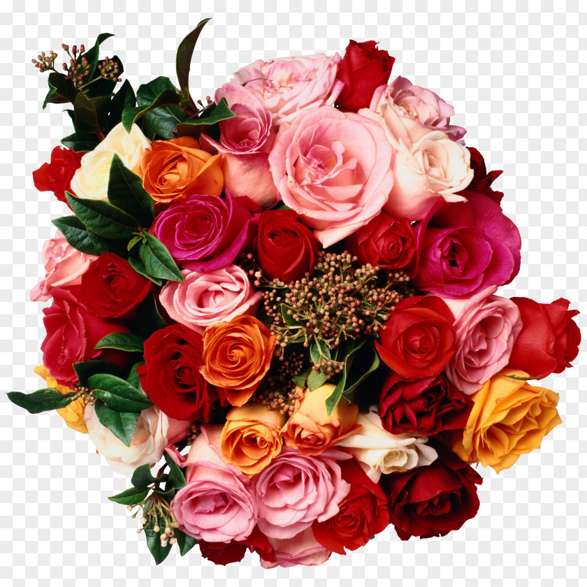A Bouquet Of Beautiful Teach Yourself Flower Arranging, New Edition Floristry Rose PNG