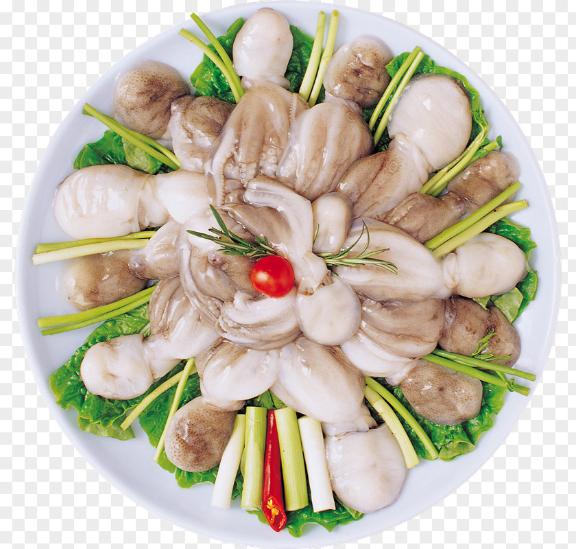 Platos Squid As Food Seafood Clam Octopus PNG