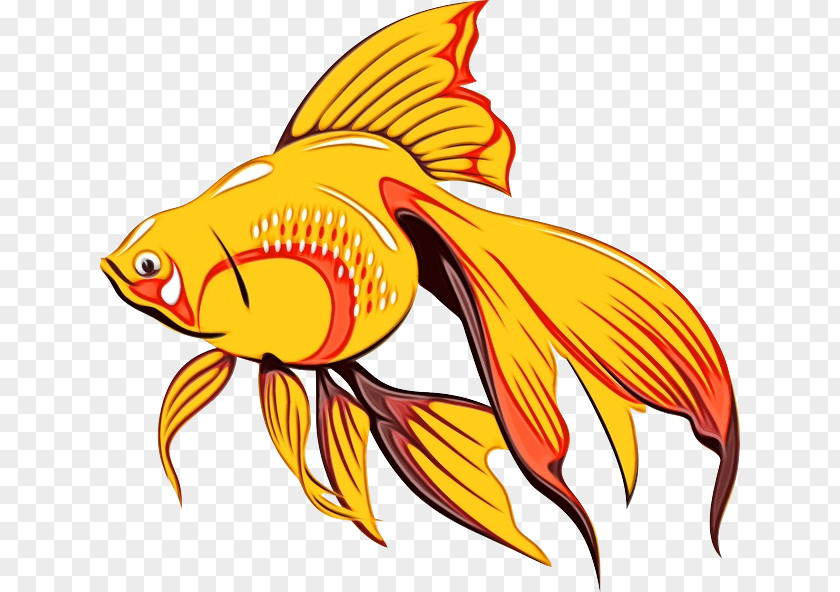 Tail Bonyfish Fish Cartoon PNG