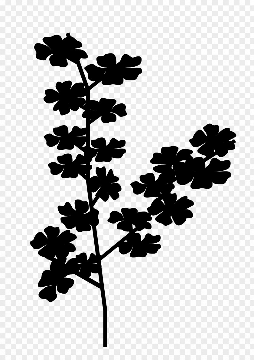 Twig Plant Stem Leaf Font Silhouette PNG